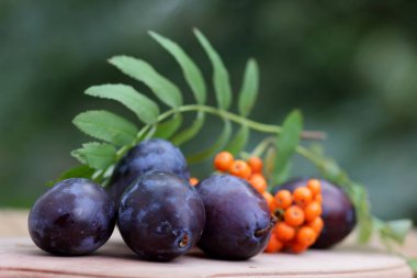 Mavi Erik ve üvez penceresinde ahşap arka plan üzerinde