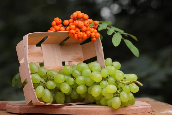 Kiść winogron z jarzębiny w drewniany kosz w oknie — Zdjęcie stockowe