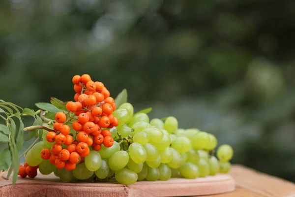 Kiść winogron z jarzębiny w drewniany kosz w oknie — Zdjęcie stockowe