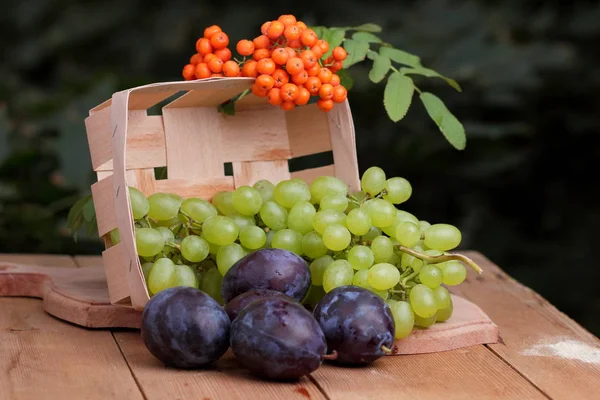 Winogrona, jarzębiny i fioletowe śliwki na oknie — Zdjęcie stockowe