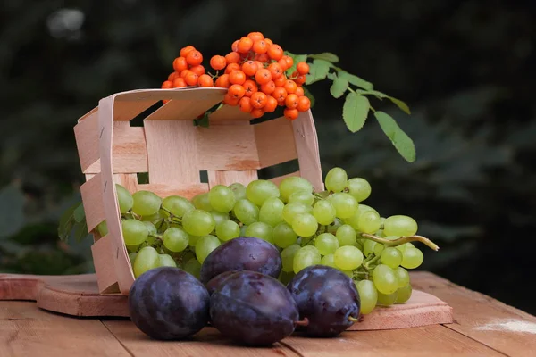 Üzüm, rowan ve mor Erik penceresinde