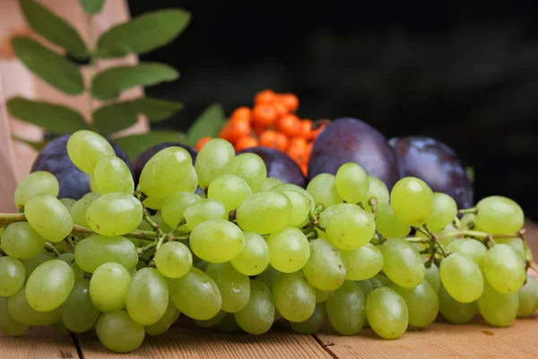 Üzüm, rowan ve mor Erik penceresinde