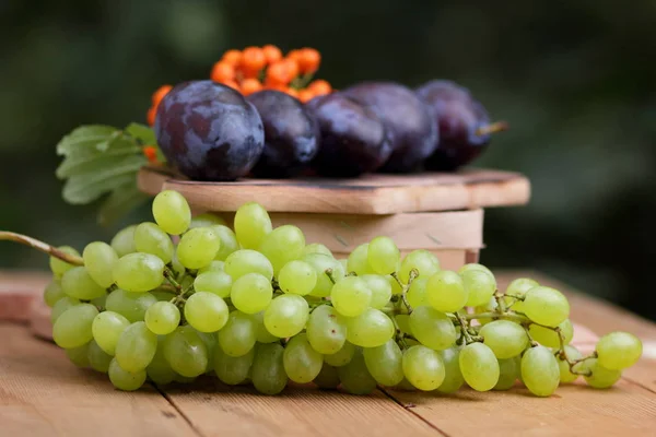 Winogrona, jarzębiny i fioletowe śliwki na oknie — Zdjęcie stockowe