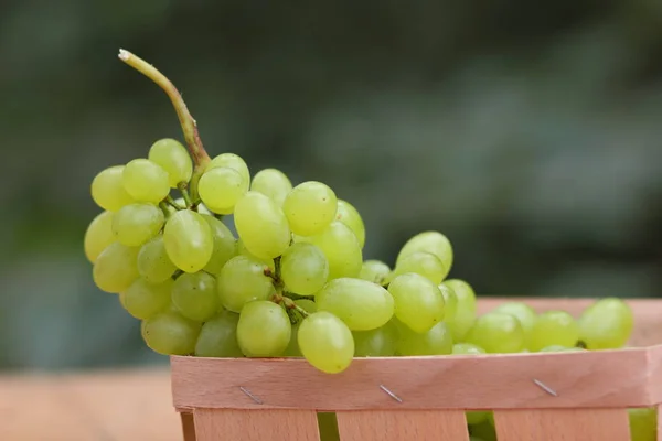 Um monte de uvas verdes em uma cesta de madeira em uma janela — Fotografia de Stock