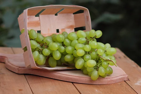 Bir sürü bir pencere üzerinde ahşap sepet içinde Yeşil üzüm