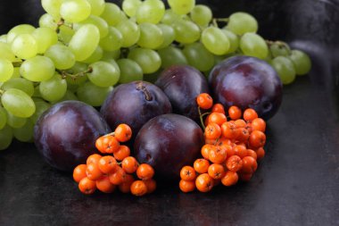 Erik, üzüm ve retro tarzı tasarımcı için karanlık bir arka plan üzerinde ashberry