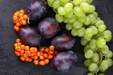 Erik, üzüm ve retro tarzı tasarımcı için karanlık bir arka plan üzerinde ashberry