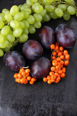 Erik, üzüm ve retro tarzı tasarımcı için karanlık bir arka plan üzerinde ashberry