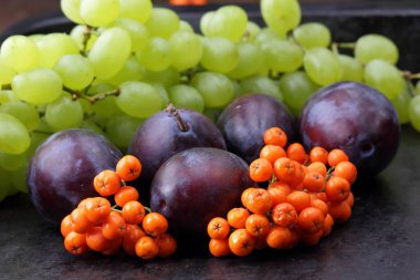 Erik, üzüm ve retro tarzı tasarımcı için karanlık bir arka plan üzerinde ashberry