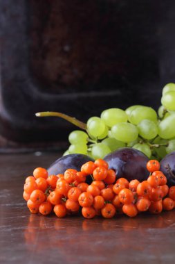 Erik, üzüm ve retro tarzı tasarımcı için karanlık bir arka plan üzerinde ashberry