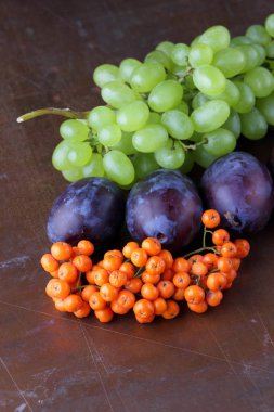 Erik, üzüm ve retro tarzı tasarımcı için karanlık bir arka plan üzerinde ashberry