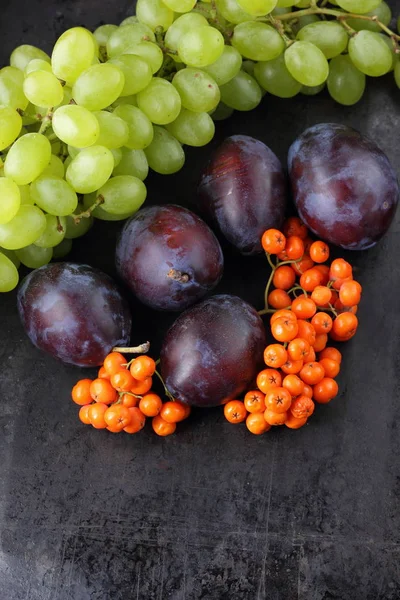 Erik, üzüm ve retro tarzı tasarımcı için karanlık bir arka plan üzerinde ashberry