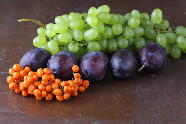 Ameixas, uvas e ashberry em um fundo escuro em estilo retro para designer — Fotografia de Stock