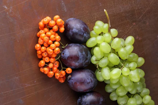 Erik, üzüm ve retro tarzı tasarımcı için karanlık bir arka plan üzerinde ashberry