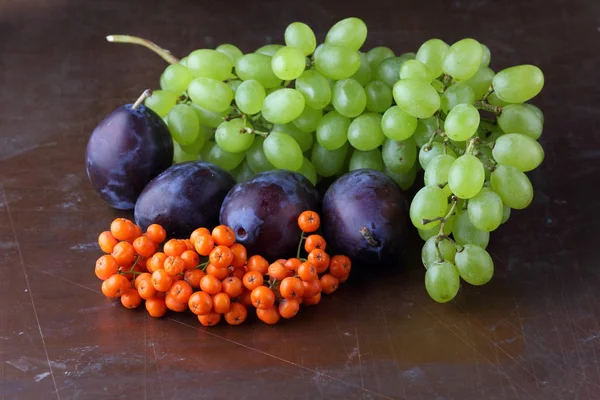Ameixas, uvas e ashberry em um fundo escuro em estilo retro para designer — Fotografia de Stock