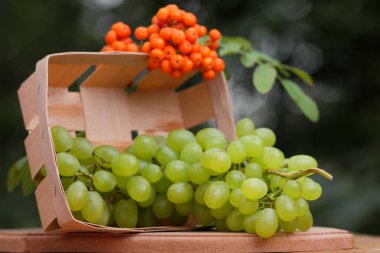 Bir avuç üzüm ve ahşap sepet içinde olgunlaşmış üvez