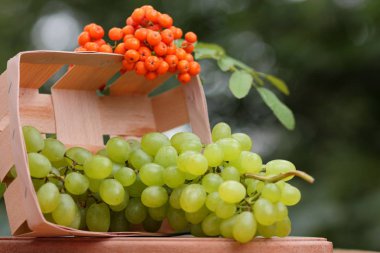 Bir avuç üzüm ve ahşap sepet içinde olgunlaşmış üvez