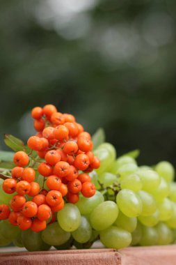 Bir avuç üzüm ve ahşap sepet içinde olgunlaşmış üvez