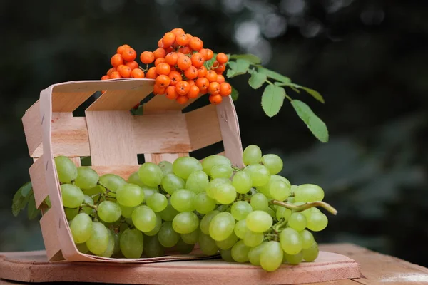 ブドウと木製のバスケットの熟したナナカマドの束 — ストック写真