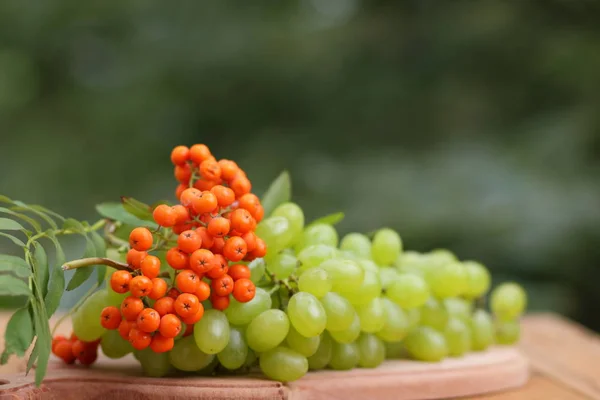 Um monte de uvas e rowan maduro em uma cesta de madeira — Fotografia de Stock