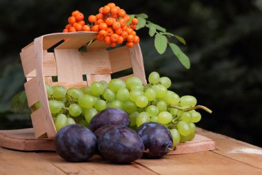 Yeşil üzüm, Erik ve dağ kül ahşap sepet içinde