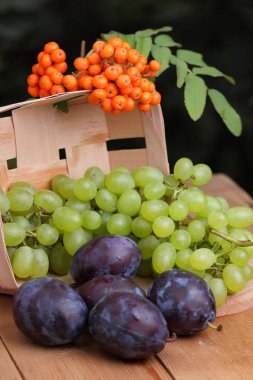 Yeşil üzüm, Erik ve dağ kül ahşap sepet içinde