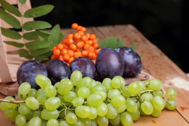 Yeşil üzüm, Erik ve dağ kül ahşap sepet içinde