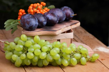Yeşil üzüm, Erik ve dağ kül ahşap sepet içinde