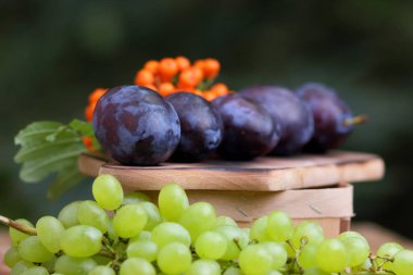 Yeşil üzüm, Erik ve dağ kül ahşap sepet içinde