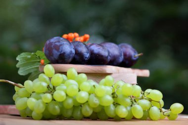 Yeşil üzüm, Erik ve dağ kül ahşap sepet içinde