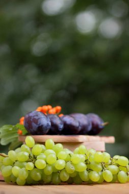Yeşil üzüm, Erik ve dağ kül ahşap sepet içinde
