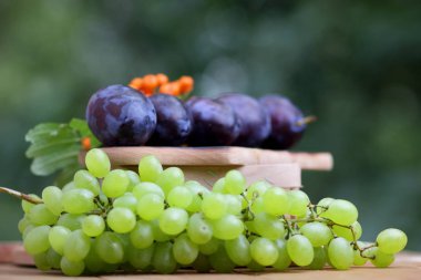 Yeşil üzüm, Erik ve dağ kül ahşap sepet içinde