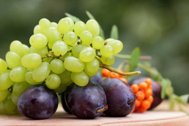 Yeşil üzüm, Erik ve dağ kül ahşap sepet içinde