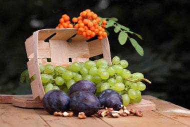 Yeşil üzüm, Erik, üvez, karpuz ve ceviz ahşap arka plan üzerinde