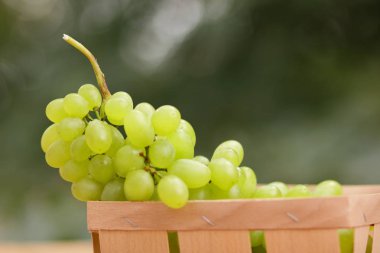 Bir grup için bir tasarımcı ahşap sepet içinde yeşil üzüm