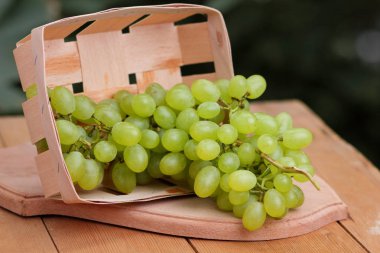 Bir grup için bir tasarımcı ahşap sepet içinde yeşil üzüm