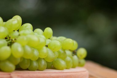 Bir grup için bir tasarımcı ahşap sepet içinde yeşil üzüm