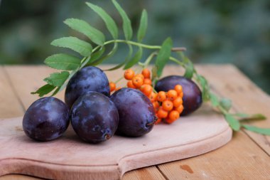 Mavi Erik ve üvez Tasarımcısı ahşap arka plan üzerinde