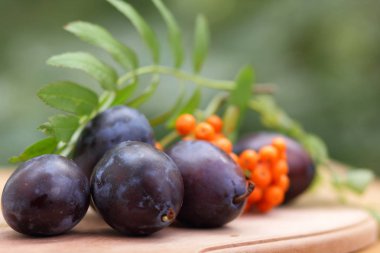 Mavi Erik ve üvez Tasarımcısı ahşap arka plan üzerinde