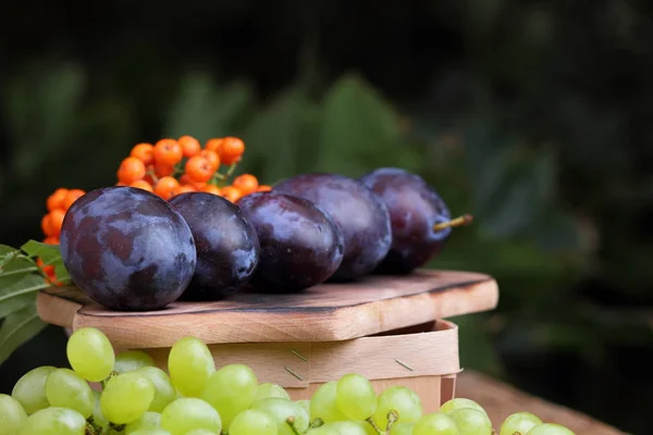 Zielone winogrona, śliwki i Jarzębina w drewniany kosz — Zdjęcie stockowe