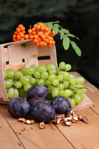 Yeşil üzüm, Erik, üvez, karpuz ve ceviz ahşap arka plan üzerinde