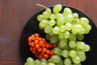 Yeşil üzüm, mavi Erik ve turuncu üvez meyveleri retro tarzı tasarımcısında için siyah bir plaka üzerinde