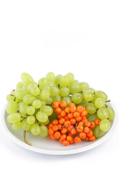 Uvas verdes e ashberry cor de laranja em um fundo branco em uma chapa no estilo de minimalismo — Fotografia de Stock