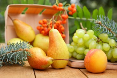 Armut, şeftali ve çilek dağ kül Noel yemeği çam dalları ile