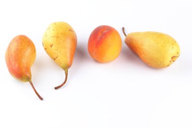 Armut için tasarımcı izole beyaz arka plan üzerinde