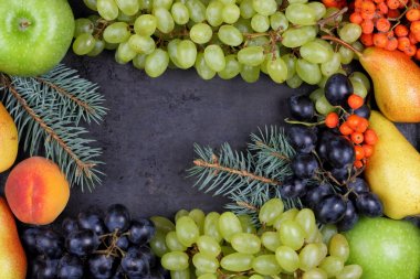 Yeşil elma, koyu mavi üzüm, portakal dağ kül, sarı armut, Yeşil üzüm, portakal şeftali ve yazıt için boş bir yer ile karanlık bir arka plan üzerinde bir Noel ağacının dalları