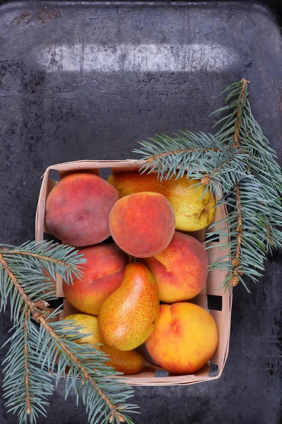 Gelbe Birnen und orangefarbene Pfirsiche in einem Holzkorb mit Tannenzweigen für das Weihnachtsessen — Stockfoto