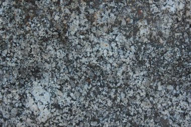 Granit Tasarımcısı retro tarzı doku