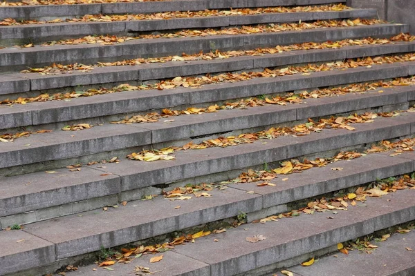 Hojas amarillas en los escalones del parque de la ciudad — Foto de Stock