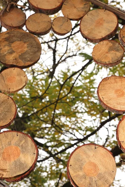 Wooden circles hanging on a tree, art design made of wooden circles, wooden texture on a background of an autumn park